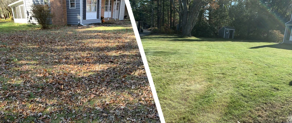 Before and after photo of a leaf cleanup job in Ashaway, RI.