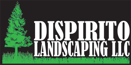 DiSpirito Landscaping LLC logo